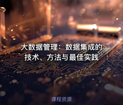 大数据管理：数据集成的技术、方法与最佳实践