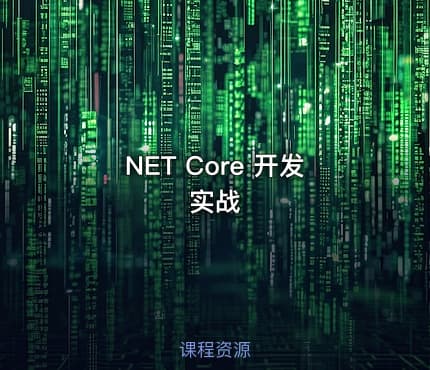NET Core 开发实战