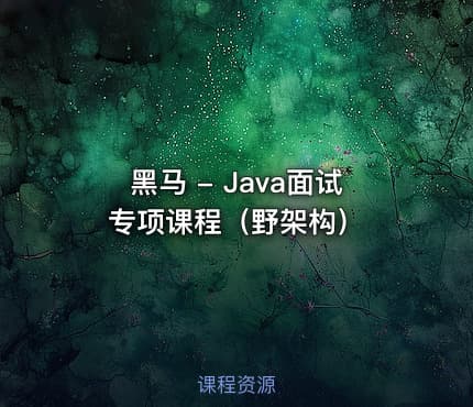 黑马 - Java面试专项课程（野架构）