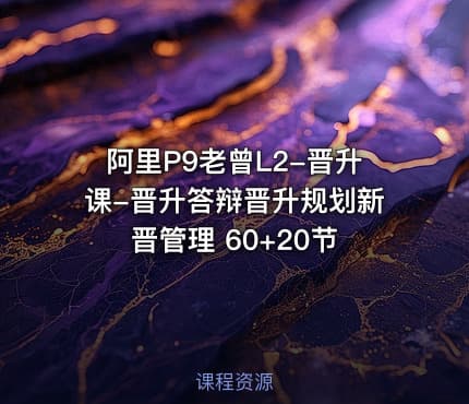 阿里P9老曾L2-晋升课-晋升答辩晋升规划新晋管理 60+20节