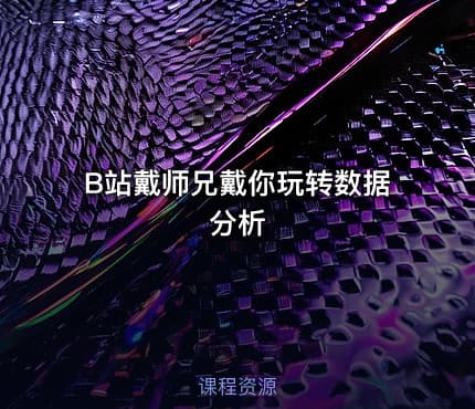 B站戴师兄戴你玩转数据分析