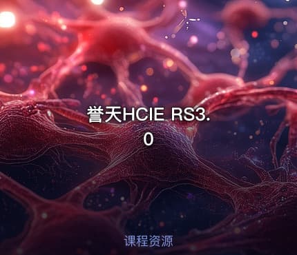 誉天HCIE RS3.0