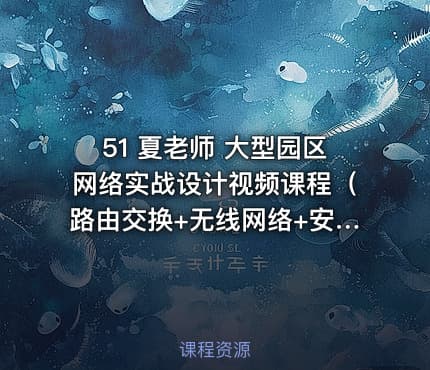 51 夏老师 大型园区网络实战设计视频课程（路由交换+无线网络+安全+优化）