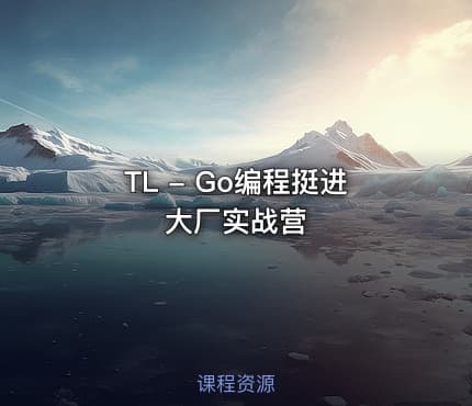 TL - Go编程挺进大厂实战营