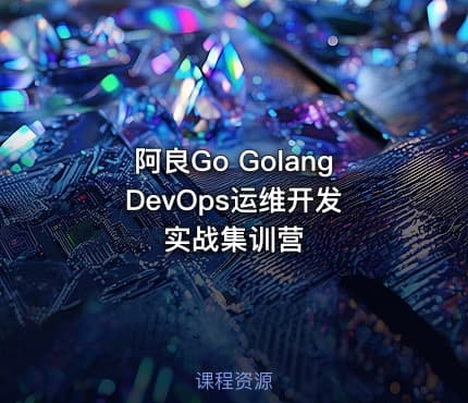 阿良Go Golang DevOps运维开发实战集训营