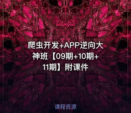 爬虫开发+APP逆向大神班【09期+10期+11期】附课件