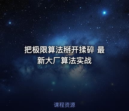把极限算法掰开揉碎 最新大厂算法实战