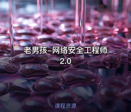 老男孩-网络安全工程师2.0