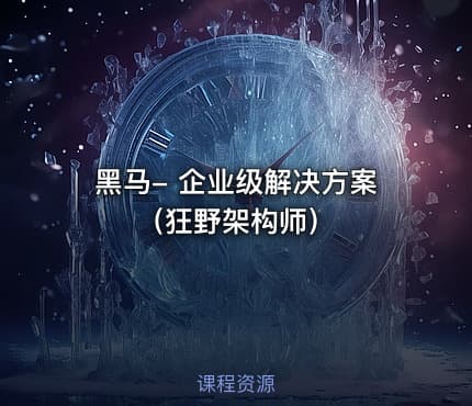 黑马- 企业级解决方案（狂野架构师）