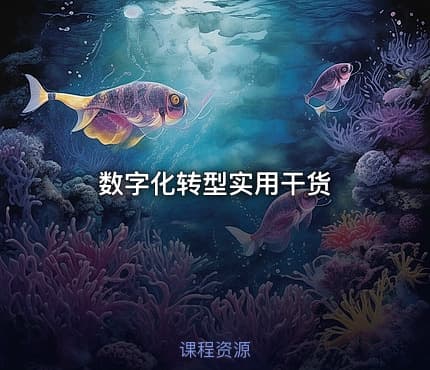 数字化转型实用干货