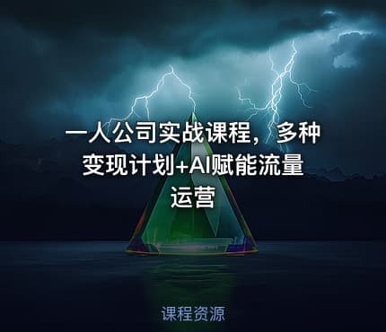 一人公司实战课程，多种变现计划+AI赋能流量运营
