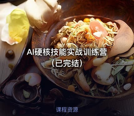 AI硬核技能实战训练营（已完结）