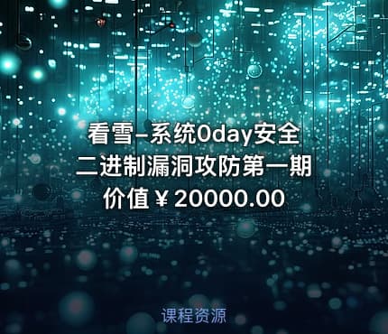 看雪-系统0day安全二进制漏洞攻防第一期 价值￥20000.00