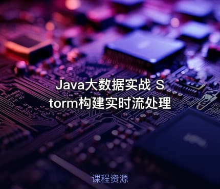Java大数据实战 Storm构建实时流处理