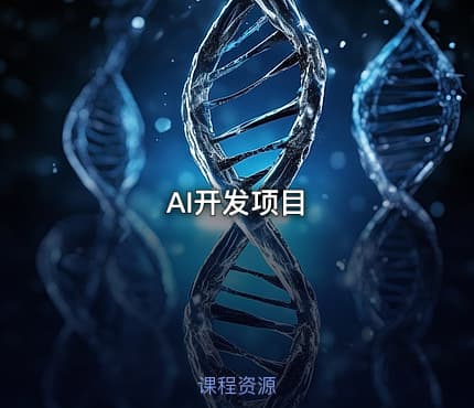 AI开发项目