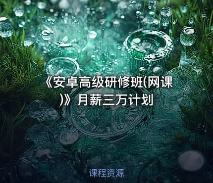 《安卓高级研修班(网课)》月薪三万计划