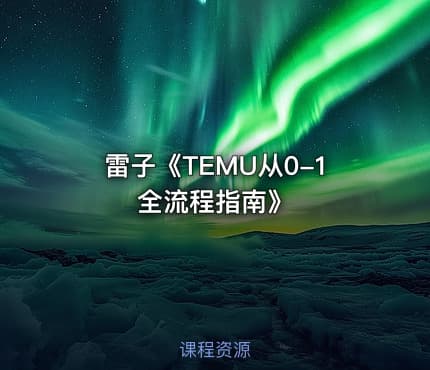 雷子《TEMU从0-1全流程指南》