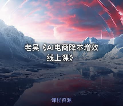 老吴《Ai电商降本增效线上课》