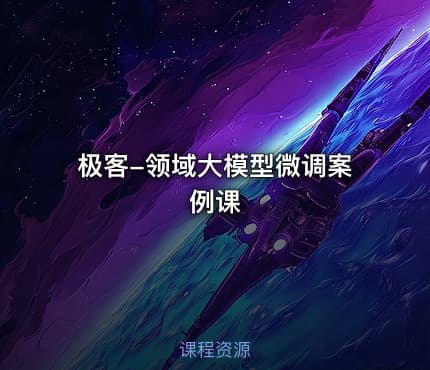 极客-领域大模型微调案例课