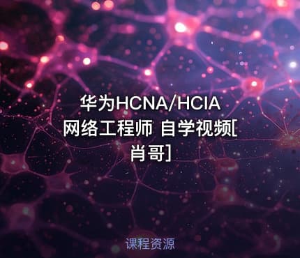 华为HCNA/HCIA网络工程师 自学视频[肖哥]