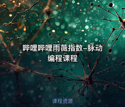 哔哩哔哩雨薇指数-脉动编程课程