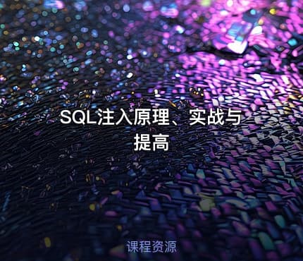 SQL注入原理、实战与提高