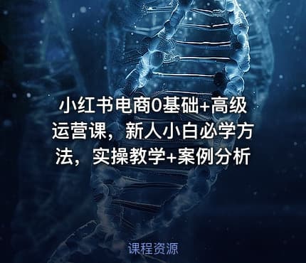 小红书电商0基础+高级运营课，新人小白必学方法，实操教学+案例分析