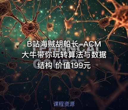 B站海贼胡船长-ACM大牛带你玩转算法与数据结构 价值199元