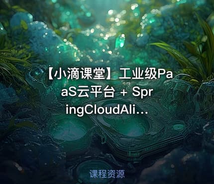 【小滴课堂】工业级PaaS云平台 + SpringCloudAlibaba综合项目实战