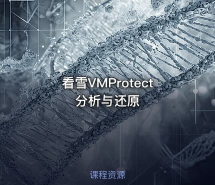 看雪VMProtect分析与还原