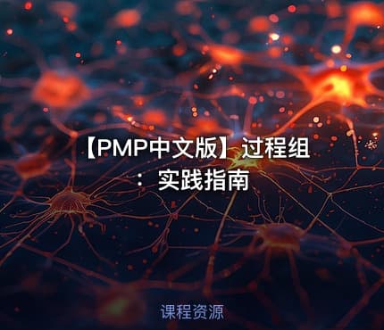【PMP中文版】过程组：实践指南
