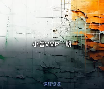 小曾VMP一期