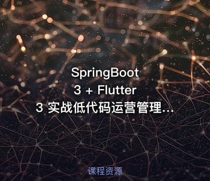 SpringBoot 3 + Flutter3 实战低代码运营管理（完结无密）