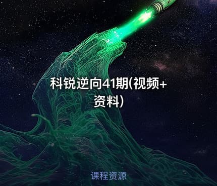 科锐逆向41期(视频+资料)