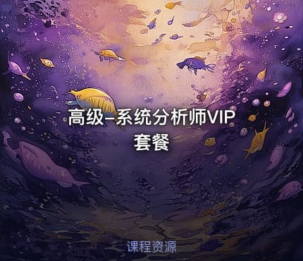 高级-系统分析师VIP套餐