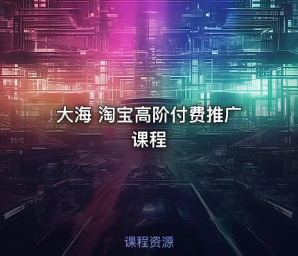 大海 淘宝高阶付费推广课程