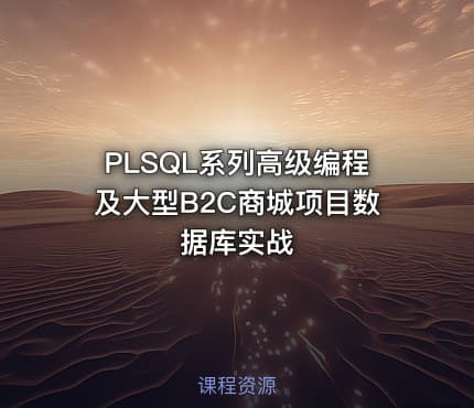 PLSQL系列高级编程及大型B2C商城项目数据库实战