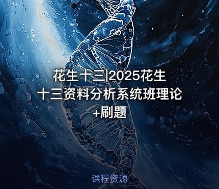 花生十三|2025花生十三资料分析系统班理论+刷题