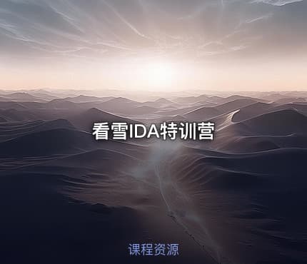 看雪IDA特训营