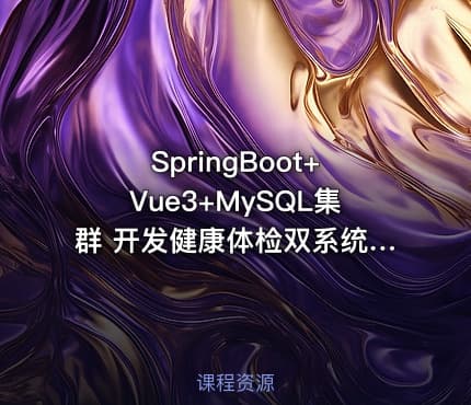 SpringBoot+Vue3+MySQL集群 开发健康体检双系统|完整23章