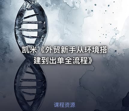 凯米《外贸新手从环境搭建到出单全流程》