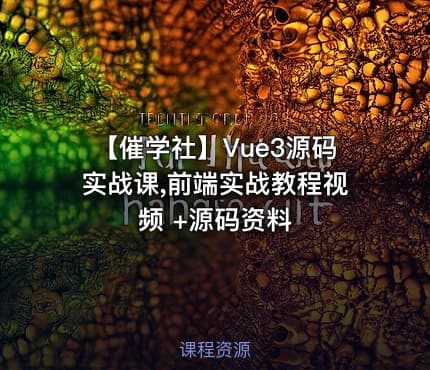 【催学社】Vue3源码实战课,前端实战教程视频 +源码资料