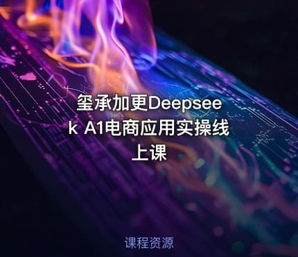 玺承加更Deepseek A1电商应用实操线上课