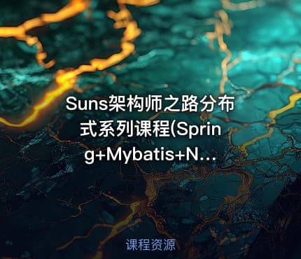 Suns架构师之路分布式系列课程(Spring+Mybatis+NettyRPC)