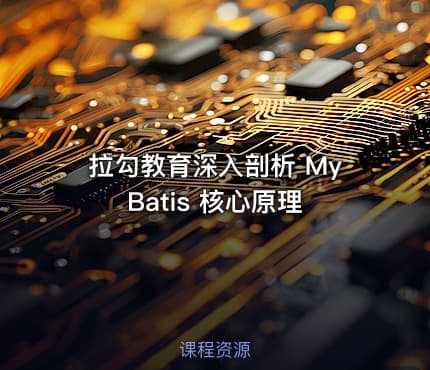 拉勾教育深入剖析 MyBatis 核心原理