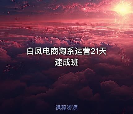 白凤电商淘系运营21天速成班