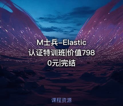 M士兵-Elastic认证特训班|价值7980元|完结
