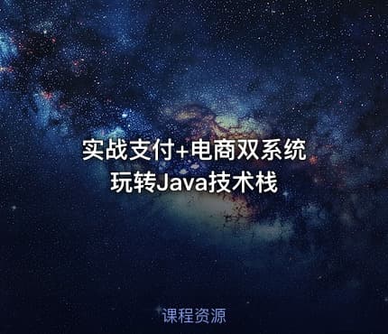 实战支付+电商双系统 玩转Java技术栈