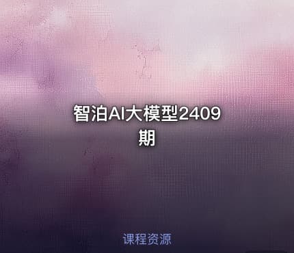 智泊AI大模型2409期