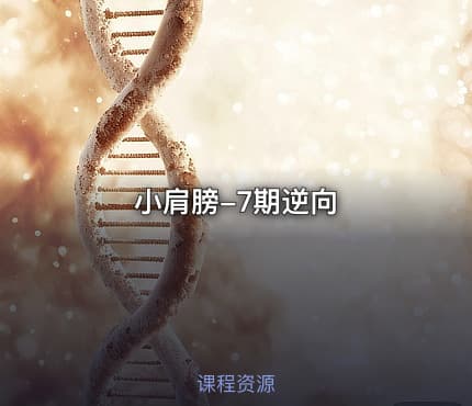 小肩膀-7期逆向